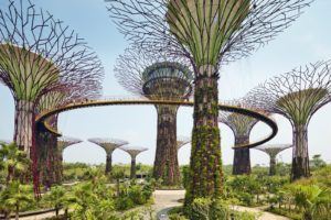 Solar Trees