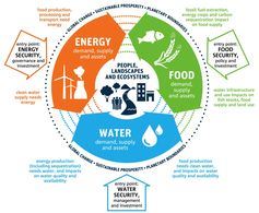 infographic of ecosystems